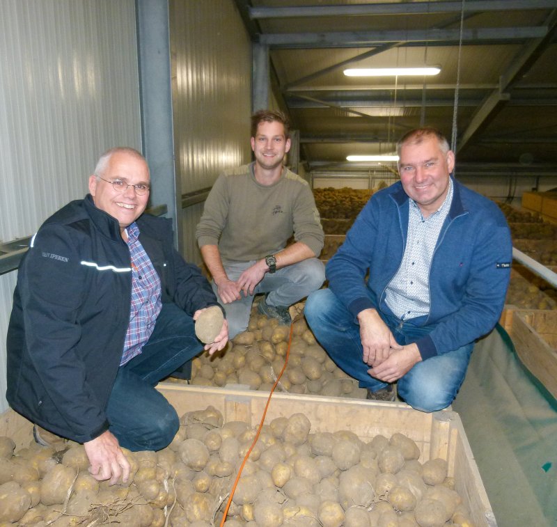 Drie mannen in een aardappelkist met aardappels in een kistenbewaring