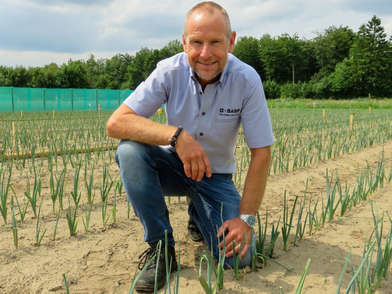 Kick van Saarloos